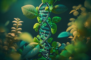 Plant DNA and Bead Beating